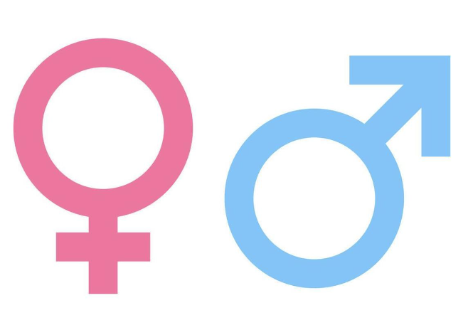 Male and Female Symbols