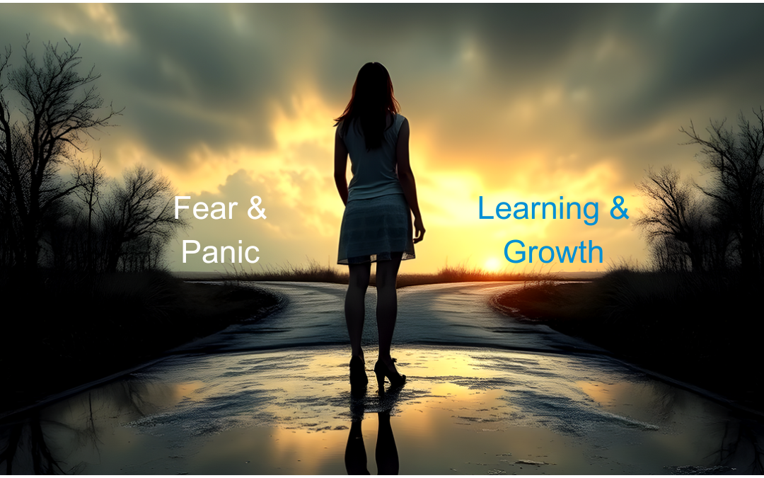 A figure standing at a crossroads, choosing between 'Fear & Panic' and 'Learning & Growth,' symbolizing the need to reflect on and learn from the pandemic response.