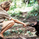 SHEis Amazing Profile: Dame Jane Goodall – Defending Wildlife, Inspiring Humanity