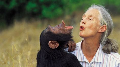 Jane Goodall playfully mimicking a baby chimpanzee's vocalization, illustrating her deep connection with chimpanzees.